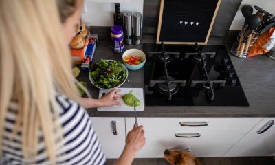 Can Dogs Eat Avocado A Comprehensive Guide On Safe Consumption