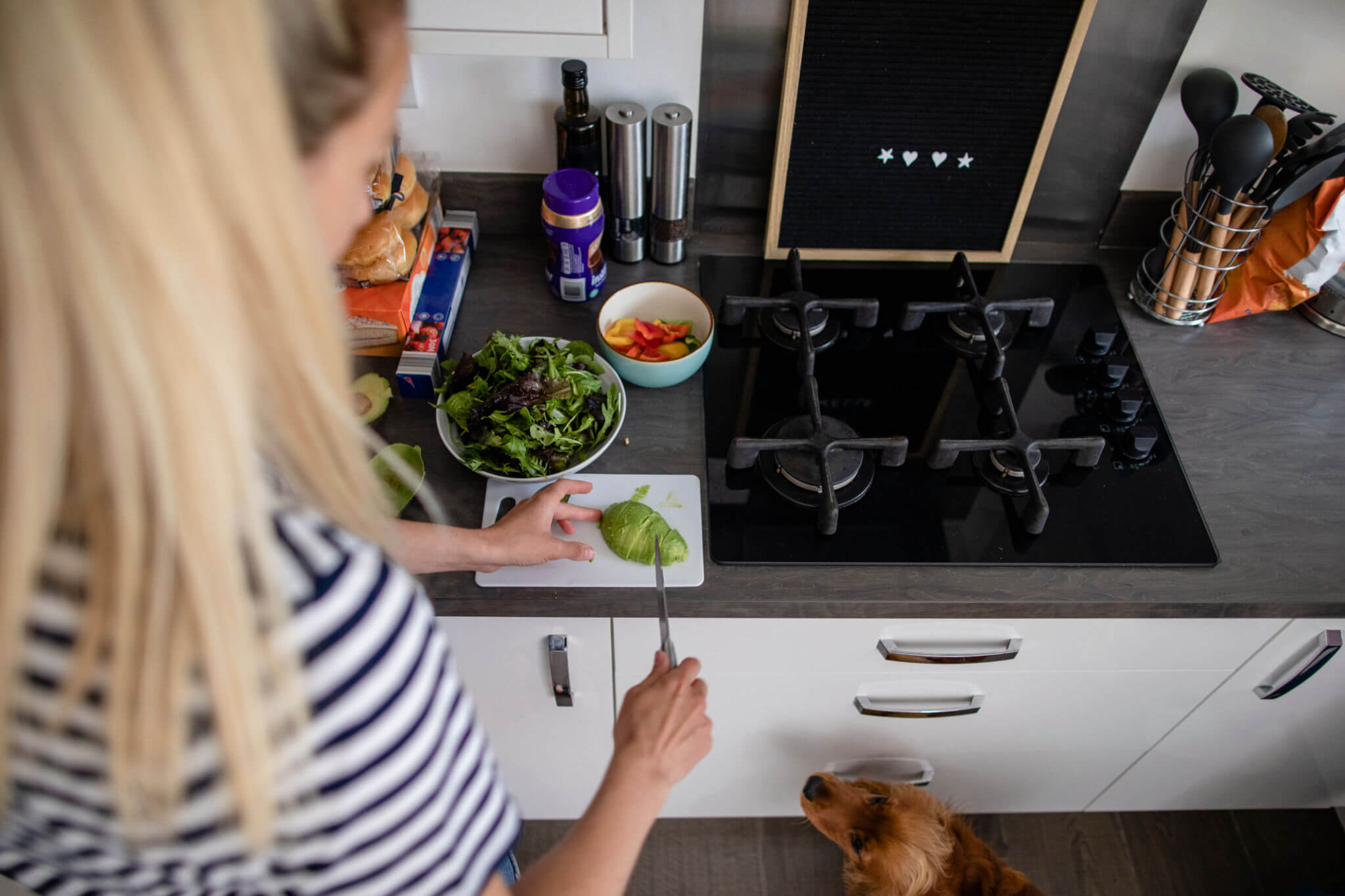 Can Dogs Eat Avocado A Comprehensive Guide On Safe Consumption