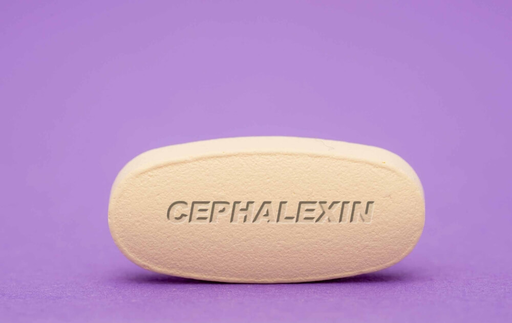 Dosage Guidelines For Administering Cephalexin To Dogs