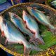 Is Swai Fish Healthy Benefits And Risks