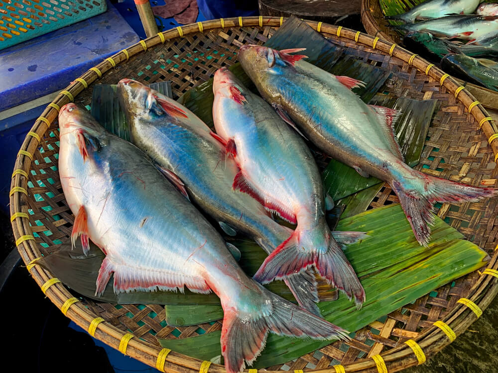 Is Swai Fish Healthy Benefits And Risks